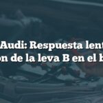 P000B Audi: Respuesta lenta de la posición de la leva B en el banco 1