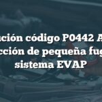 Solución código P0442 Audi: Detección de pequeña fuga en sistema EVAP