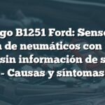 Código B1251 Ford: Sensor de presión de neumáticos con batería baja y sin información de subtipo - Causas y síntomas