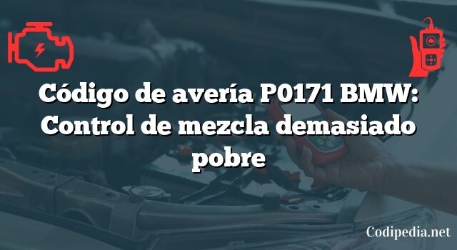 Código de avería P0171 BMW: Control de mezcla demasiado pobre