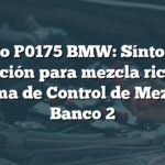 Código P0175 BMW: Síntomas y solución para mezcla rica en Sistema de Control de Mezcla 2, Banco 2