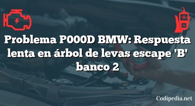 Problema P000D BMW: Respuesta lenta en árbol de levas escape 'B' banco 2