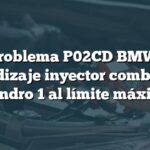 Problema P02CD BMW: Aprendizaje inyector combustible cilindro 1 al límite máximo