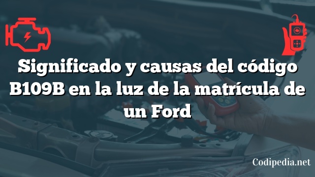 Significado y causas del código B109B en la luz de la matrícula de un Ford